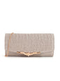 Metal veil pleated Clutch bag evening bag