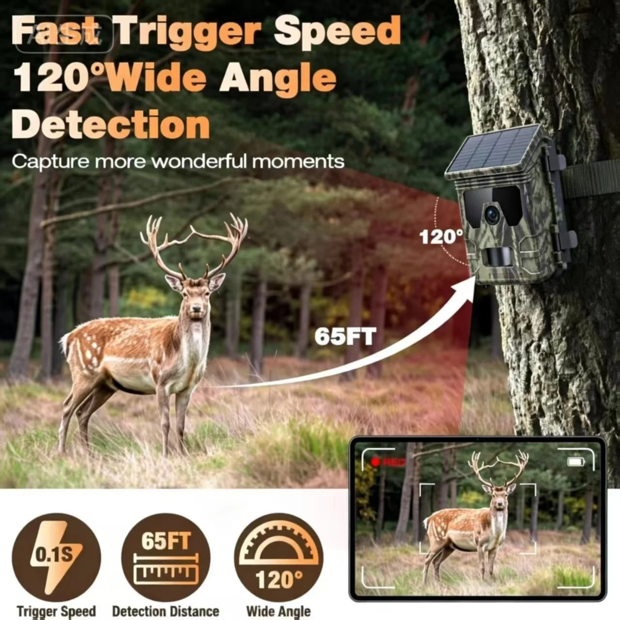 SolarWatch™ Solar-Powered Trail Camera — 12-Month Standby, No Wiring